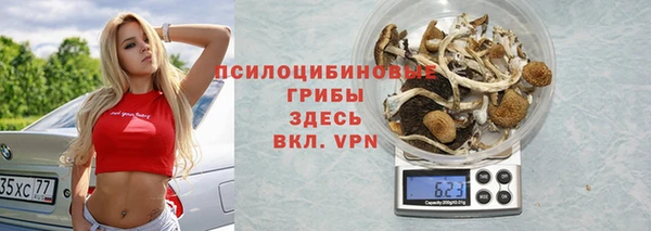 a pvp Майский