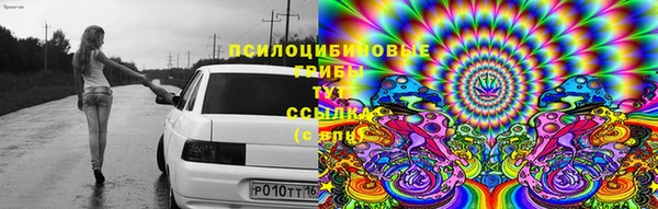 ECSTASY Липки