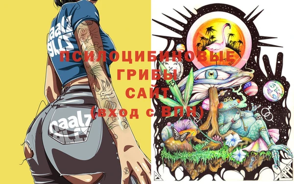 ECSTASY Липки