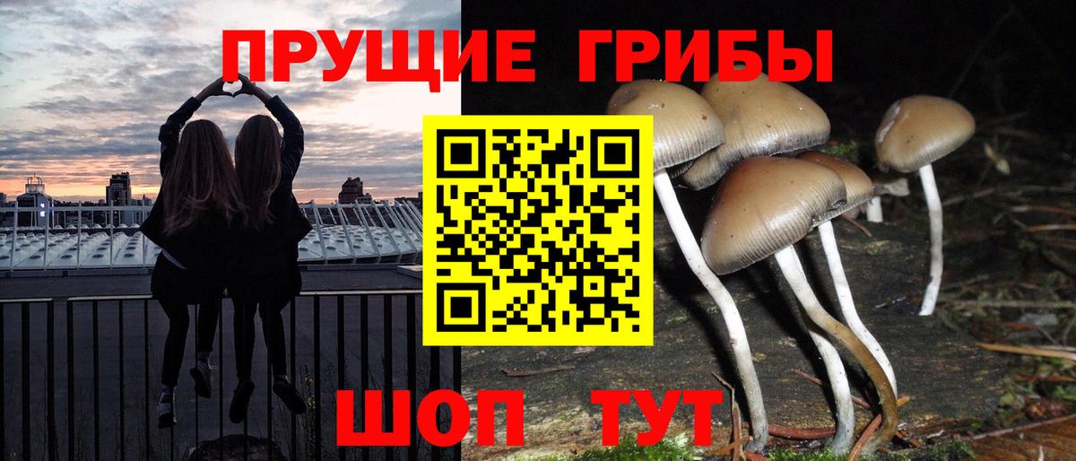 Калач-на-Дону  Галлюциногенные грибы мухоморы  Вход с VPN 